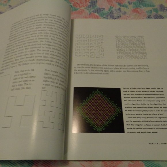 FRACTALS THE PATTERNS OF CHAOS BY JOHN BRIGGS 1992 - Picture 4 of 15